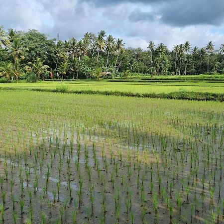 New 4 Bedroom Villa Surrounded By Jungle And Ricefields ウブド エクステリア 写真