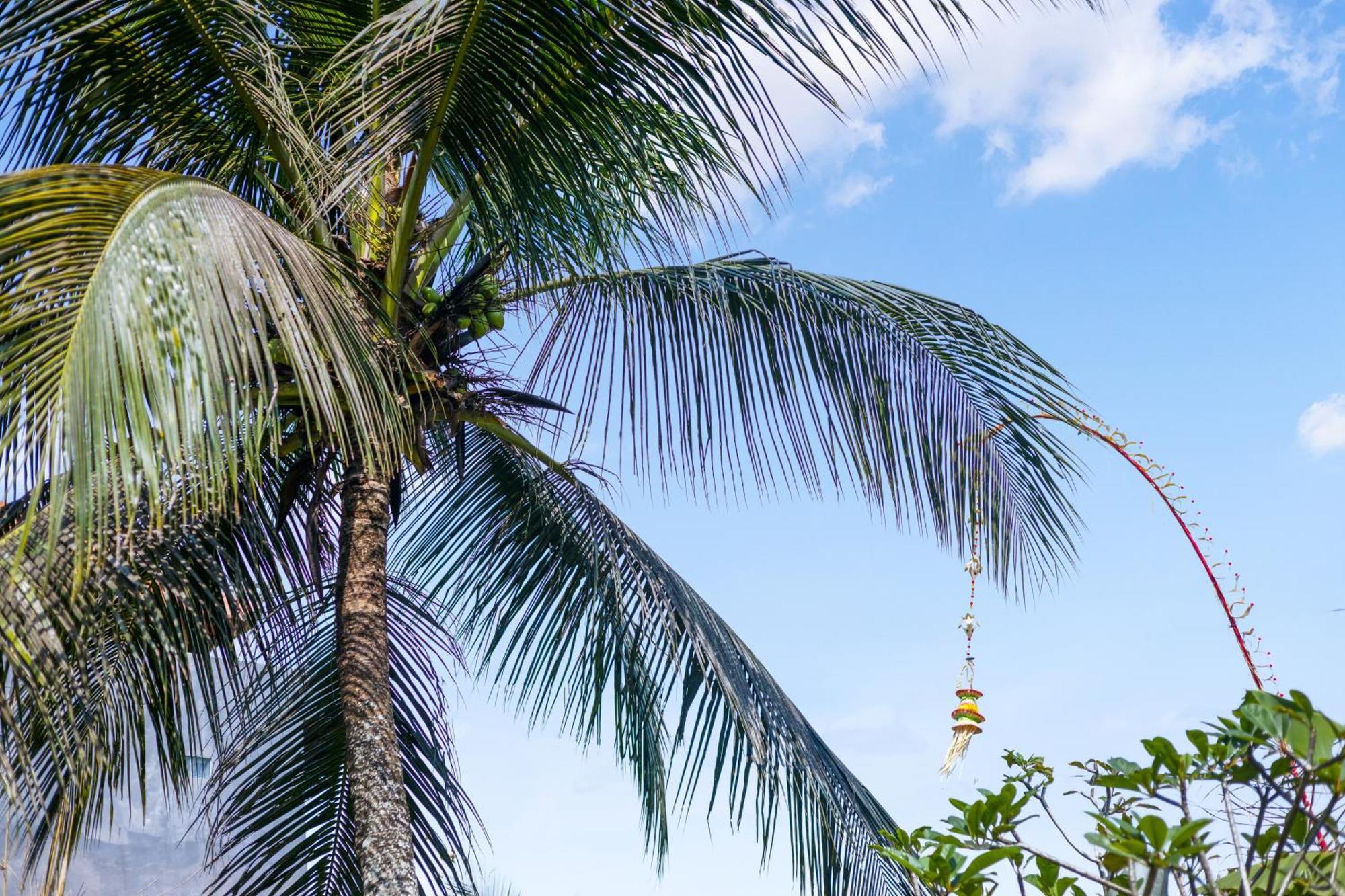 New 4 Bedroom Villa Surrounded By Jungle And Ricefields ウブド エクステリア 写真