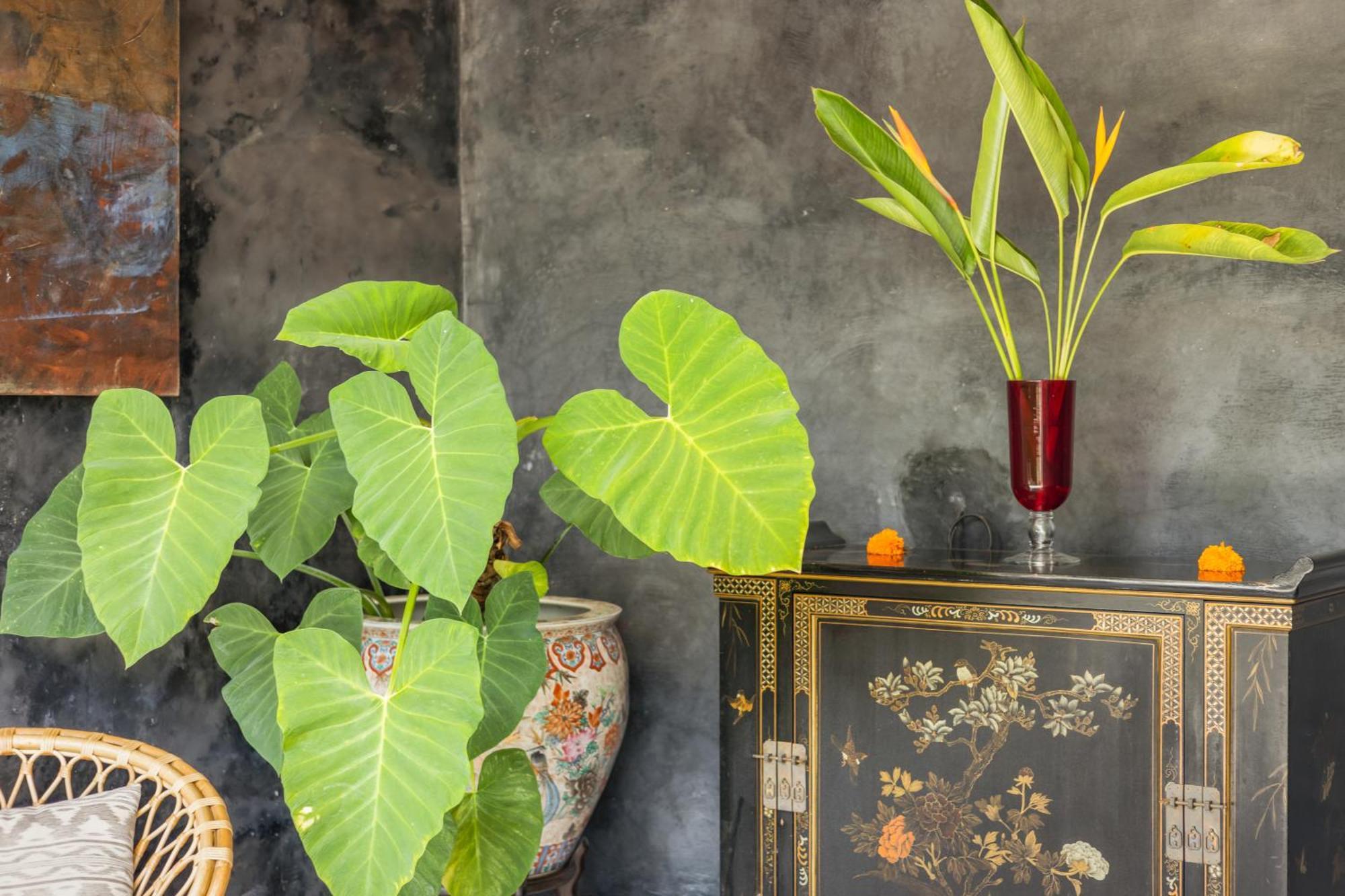New 4 Bedroom Villa Surrounded By Jungle And Ricefields ウブド エクステリア 写真